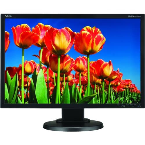 NEC E222W-BK 22.0" 1680 x 1050 Monitor