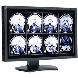 NEC MD242C2 24.0" 1920 x 1200 60 Hz Monitor